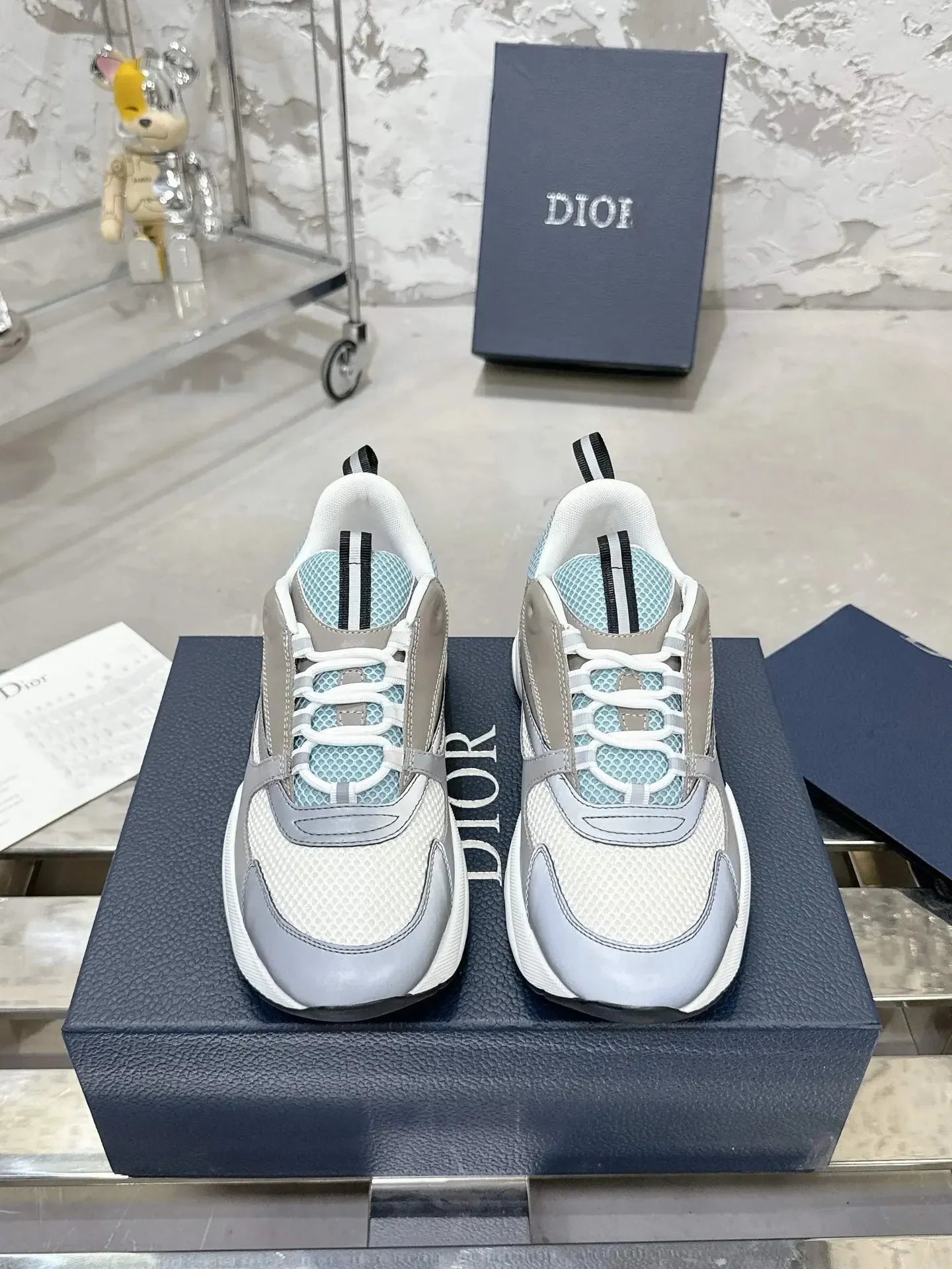 Paire de dior B22 - Élégancia